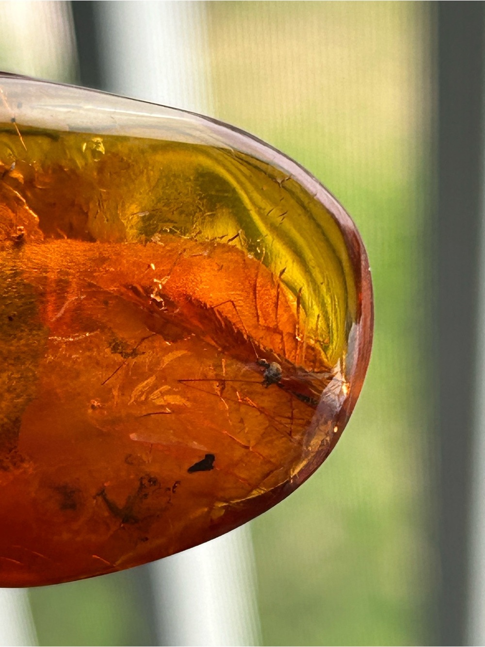 Poland Vintage Baltic Amber Insect Fossil Inclusion Huge Teardrop Pendant - Picture 9 of 17